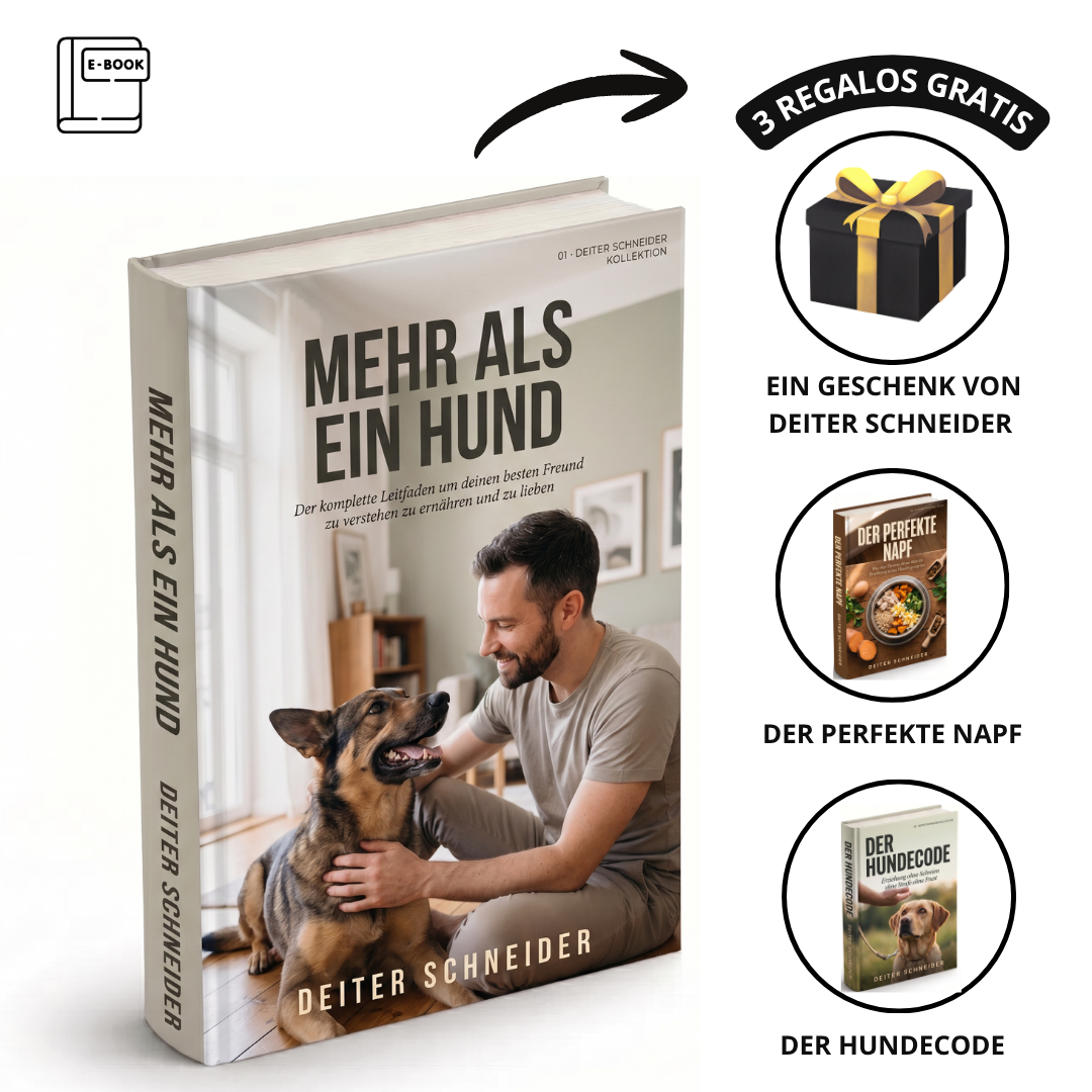 Mehr Als Ein Hund